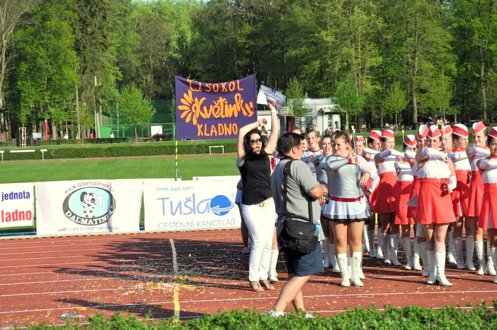 MISTŘI OBLASTI 2012